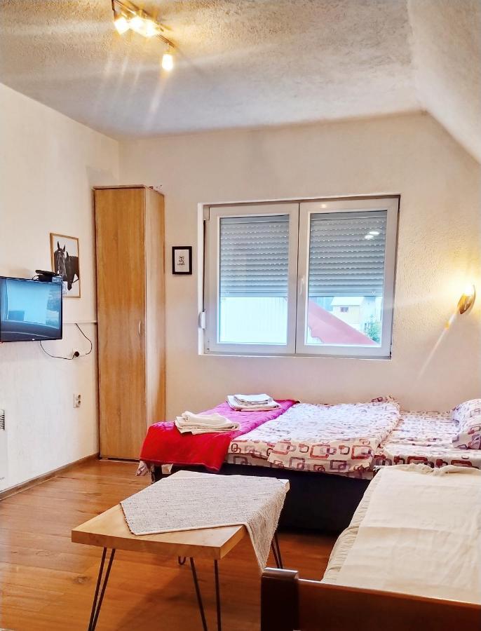Apartmani Bozana Vojinovic Жабляк Екстер'єр фото