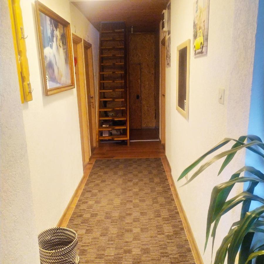 Apartmani Bozana Vojinovic Жабляк Екстер'єр фото